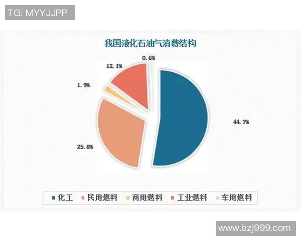 专业解析:液化天然气行业的市场攻势与战略布局探讨